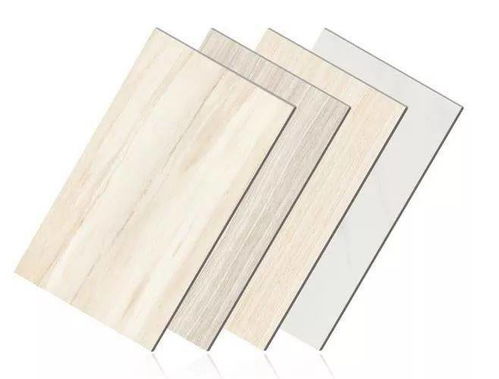 陶瓷薄板一體板 保溫板領域的全方位重點推介